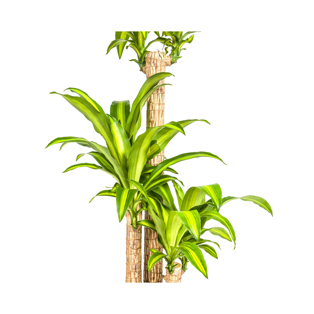 Produktbild 4
