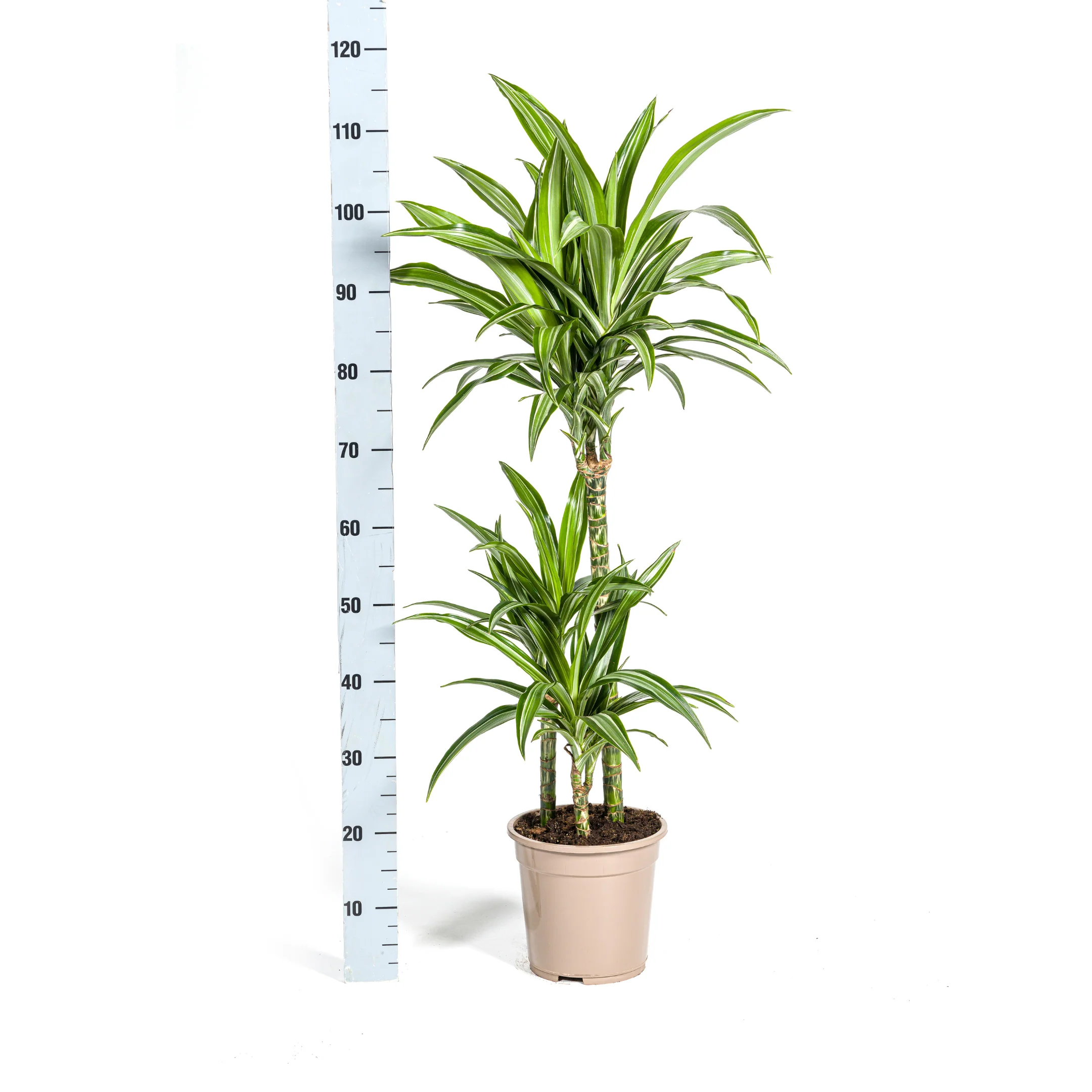 Produktbild 9