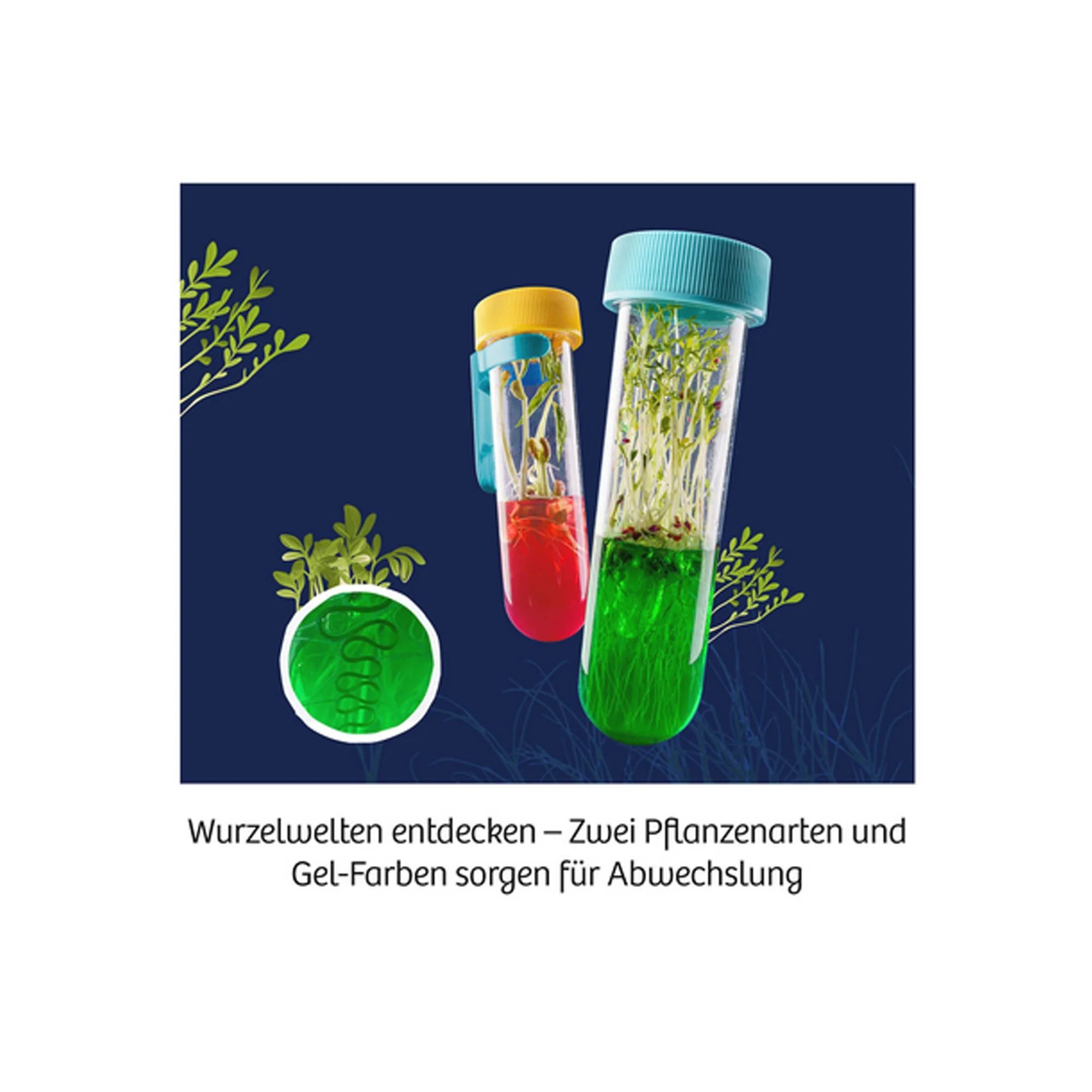 Vorschaubild 2