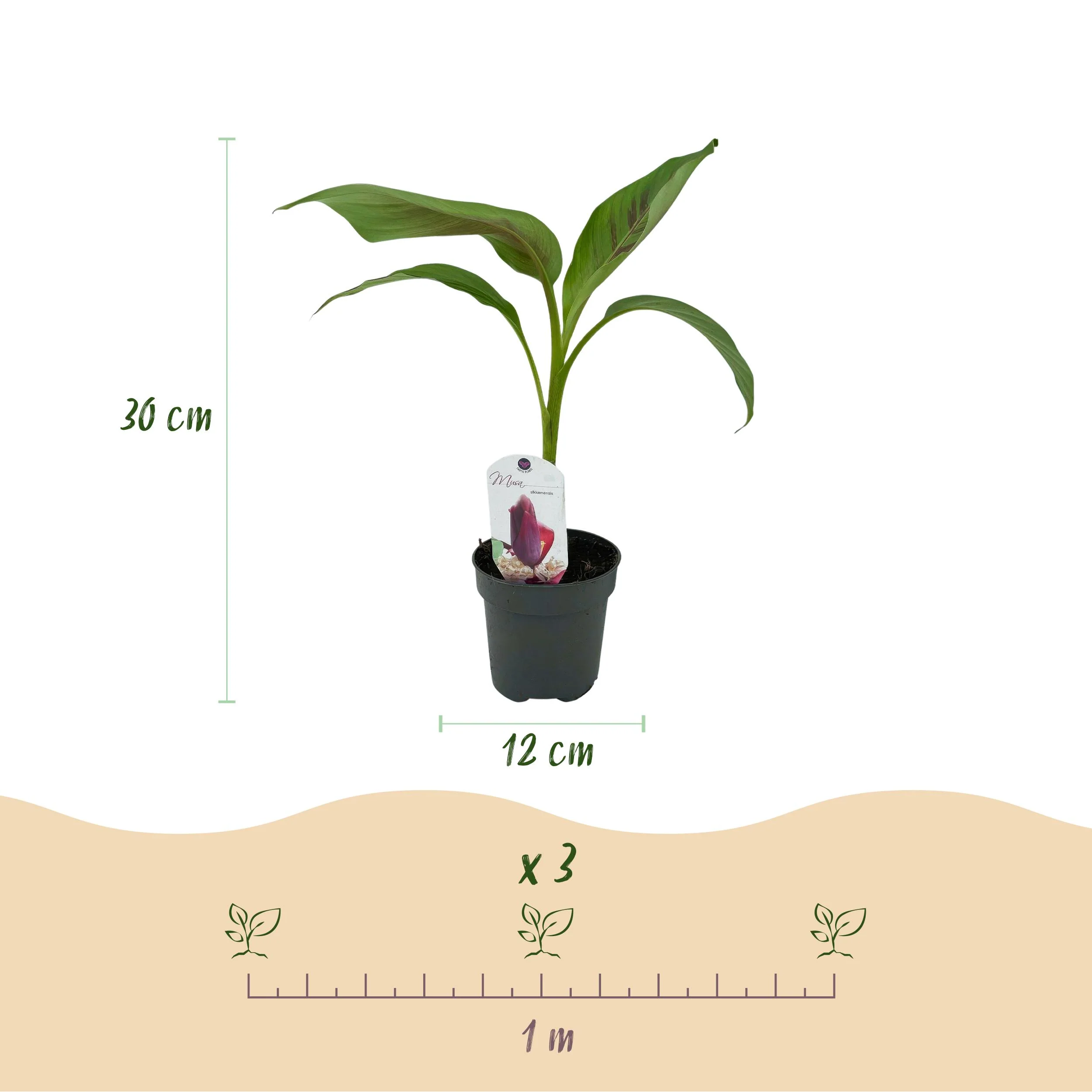 Produktbild 6
