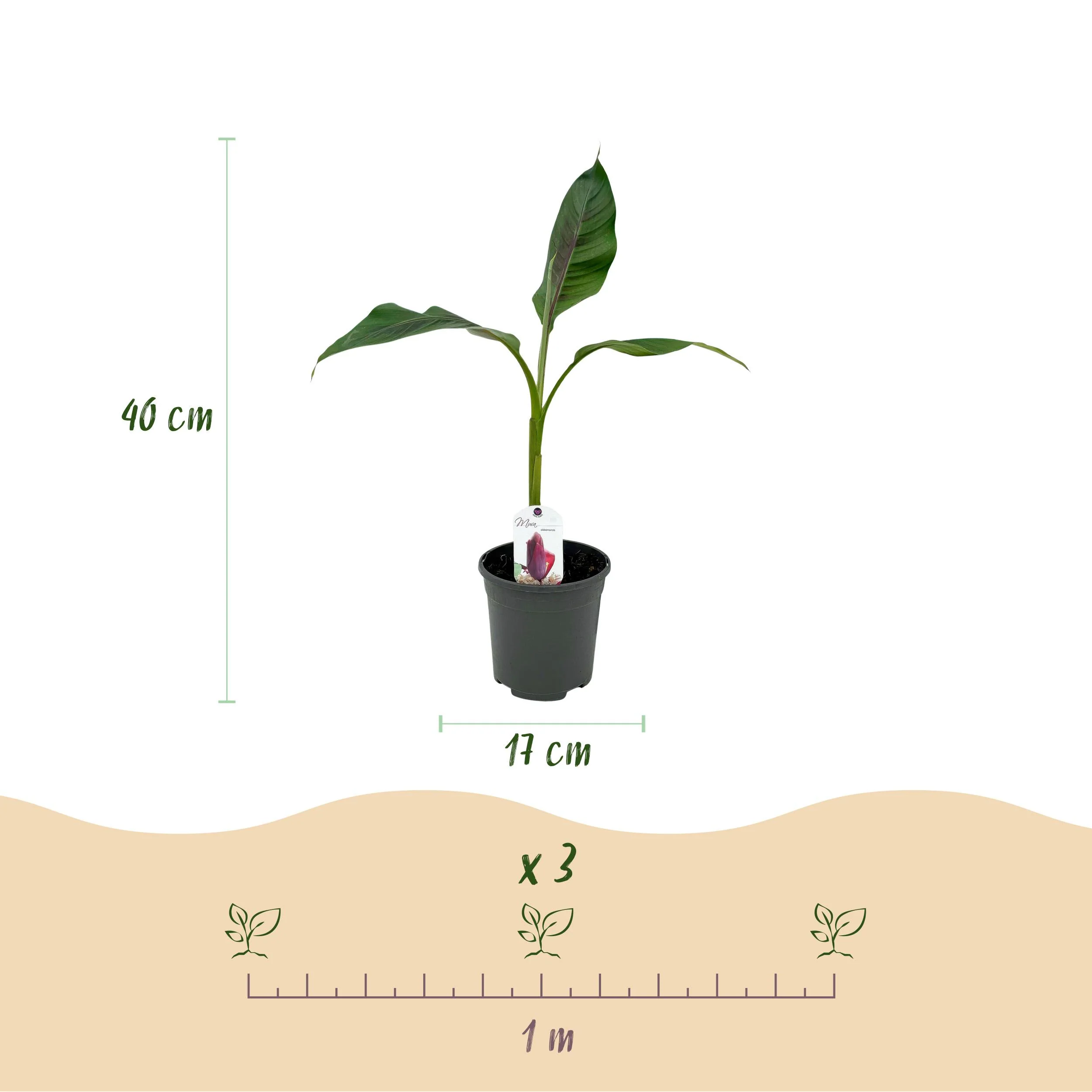 Produktbild 4